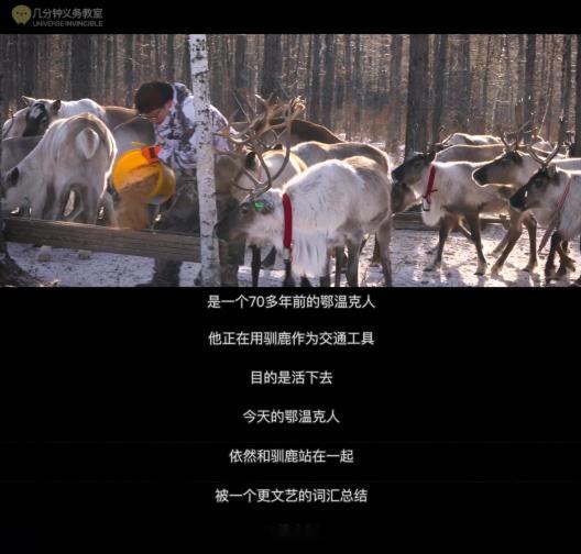 一头扎进鄂温克的林海雪原，上汽奥迪A5LSportback带我们探寻新时代的鄂温