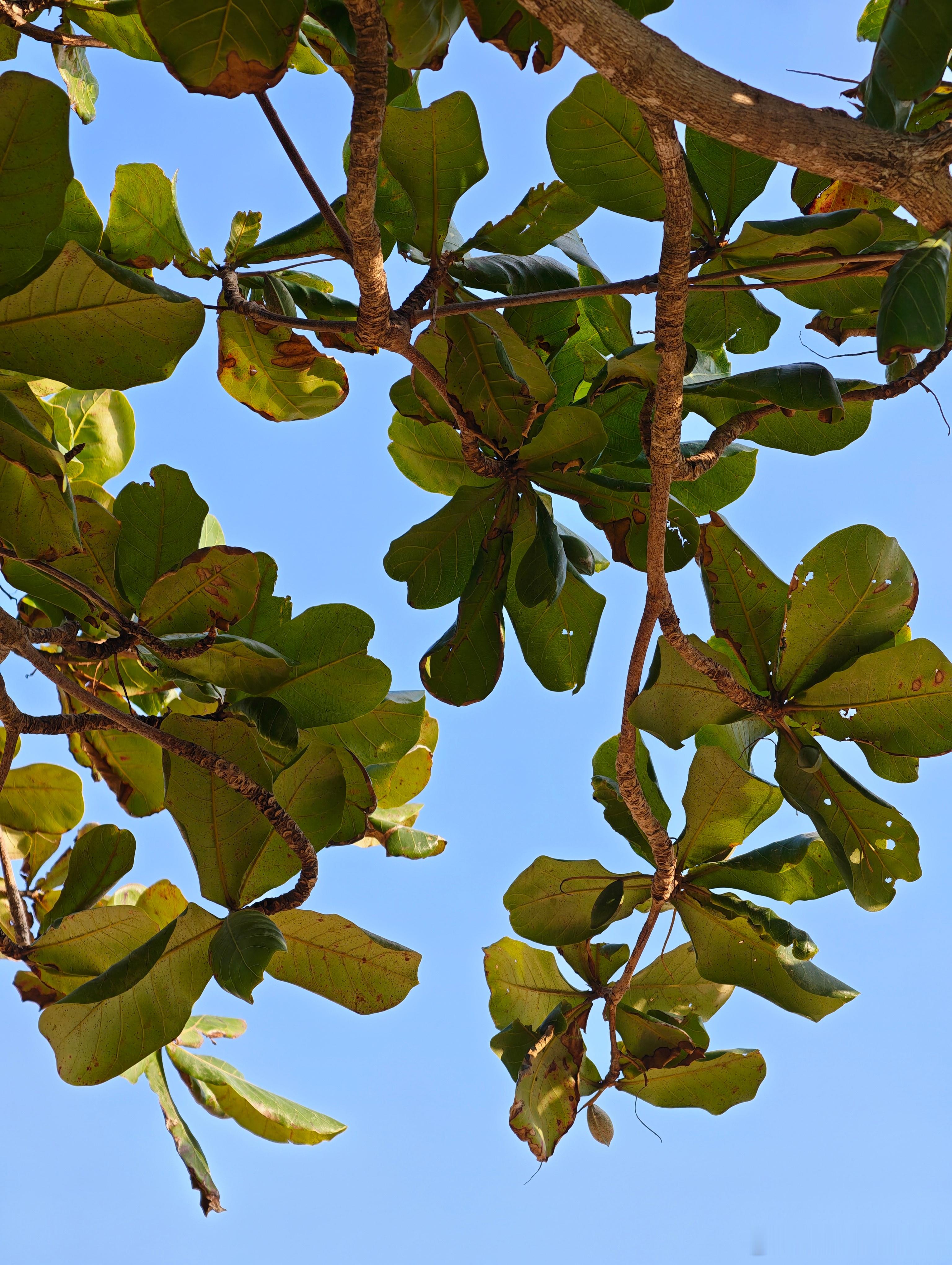 早啊朋友们，2026年第一个工作日，大家到岗了吗