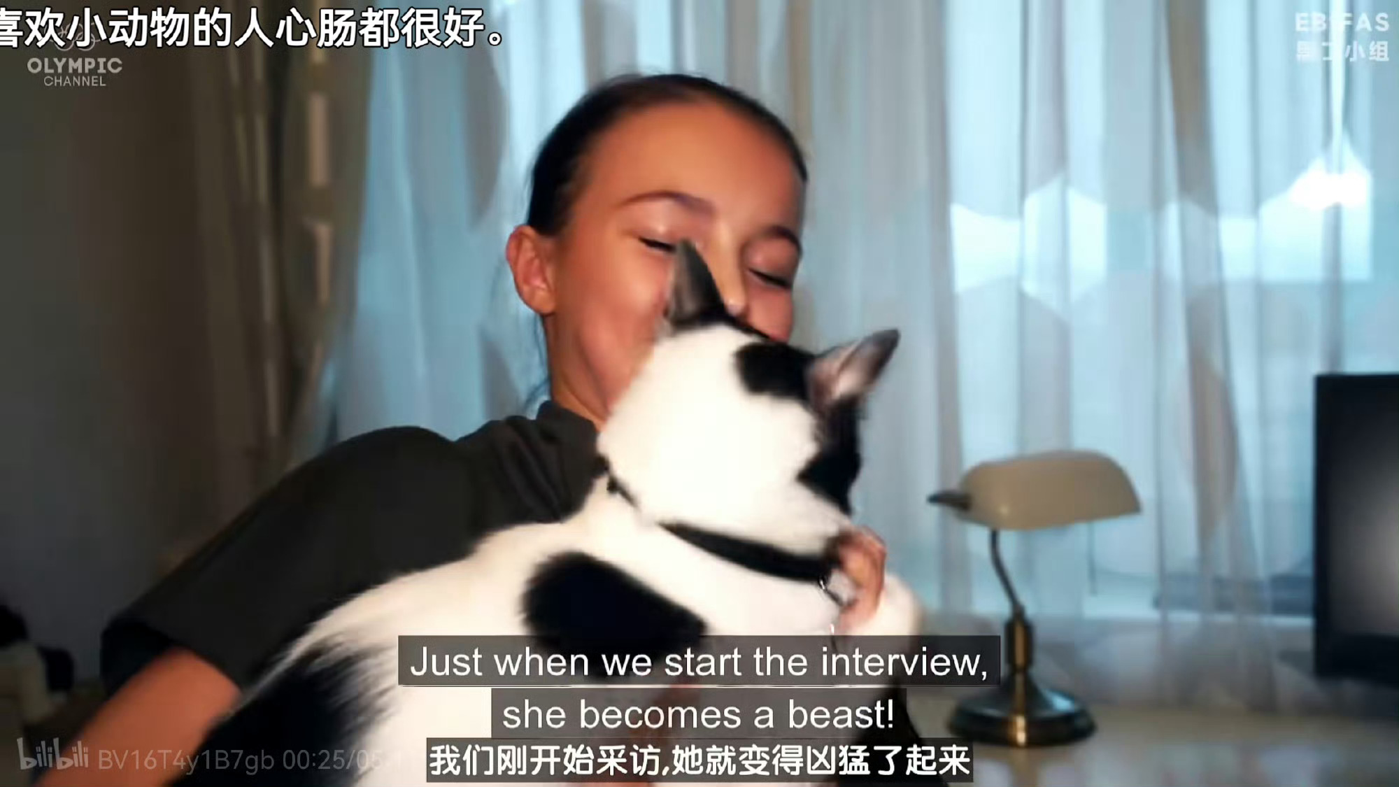 世界上居然有两个溺爱丑猫的主人你两啥时候认识下