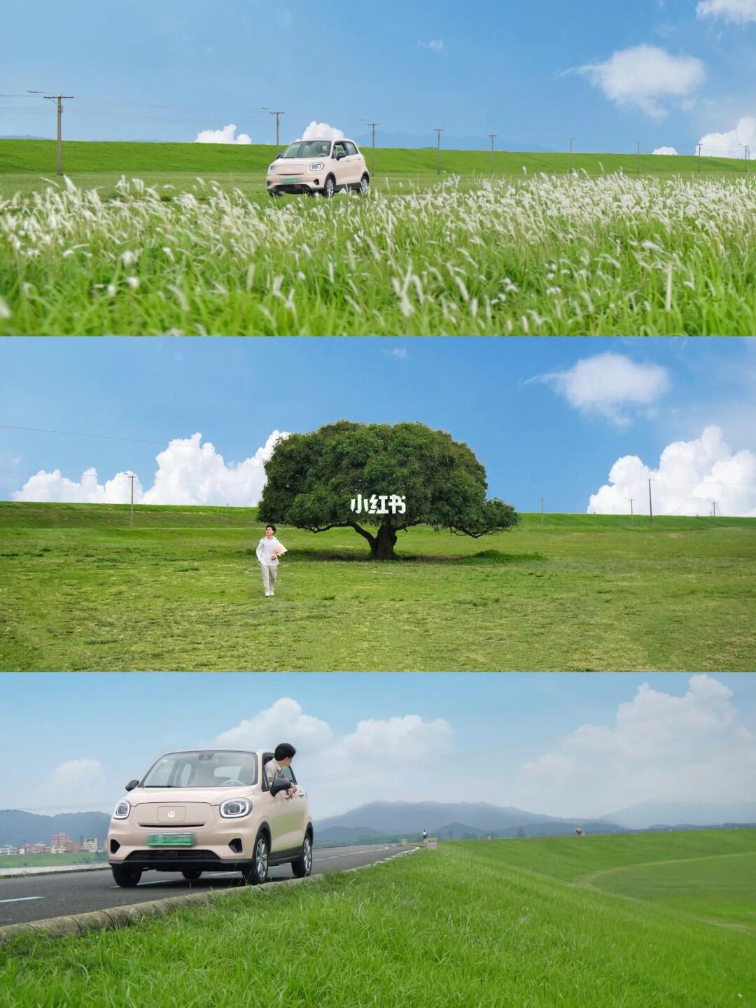 广州1小时直达🚗呼伦贝尔大草原