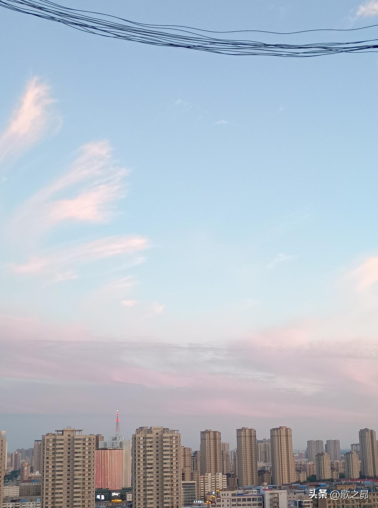 卷帘听夜雨
开窗问清风
分享一张最近随手拍的照片 
——前日黄昏忽然阵雨，气温低