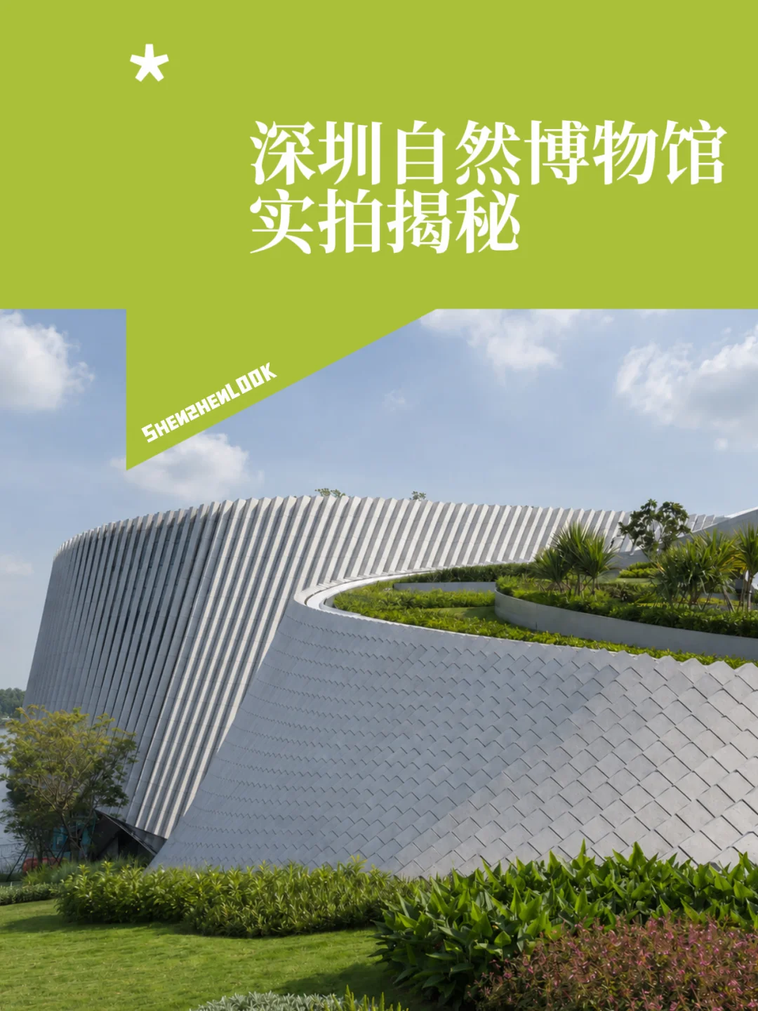 深圳迎来新地标！华南最大自然博物馆来了