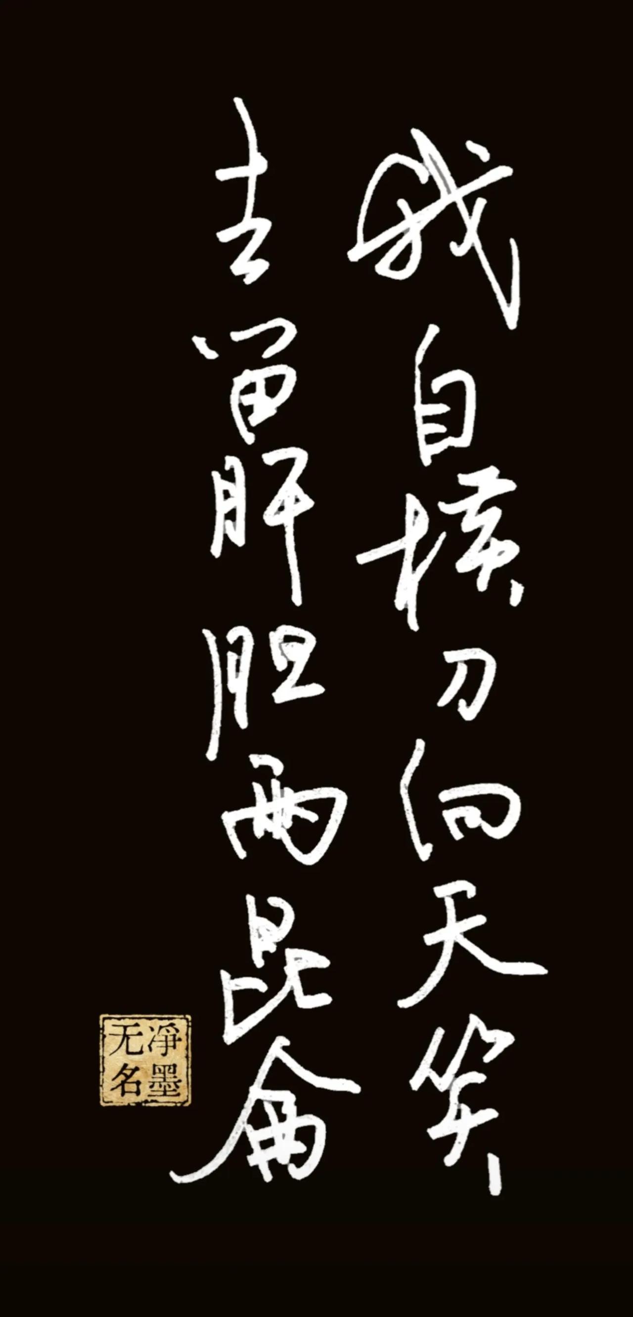 钢笔书写，敬请指教。
一、释文（传统竖排，右列先读）
右列（从上至下）：我自横刀