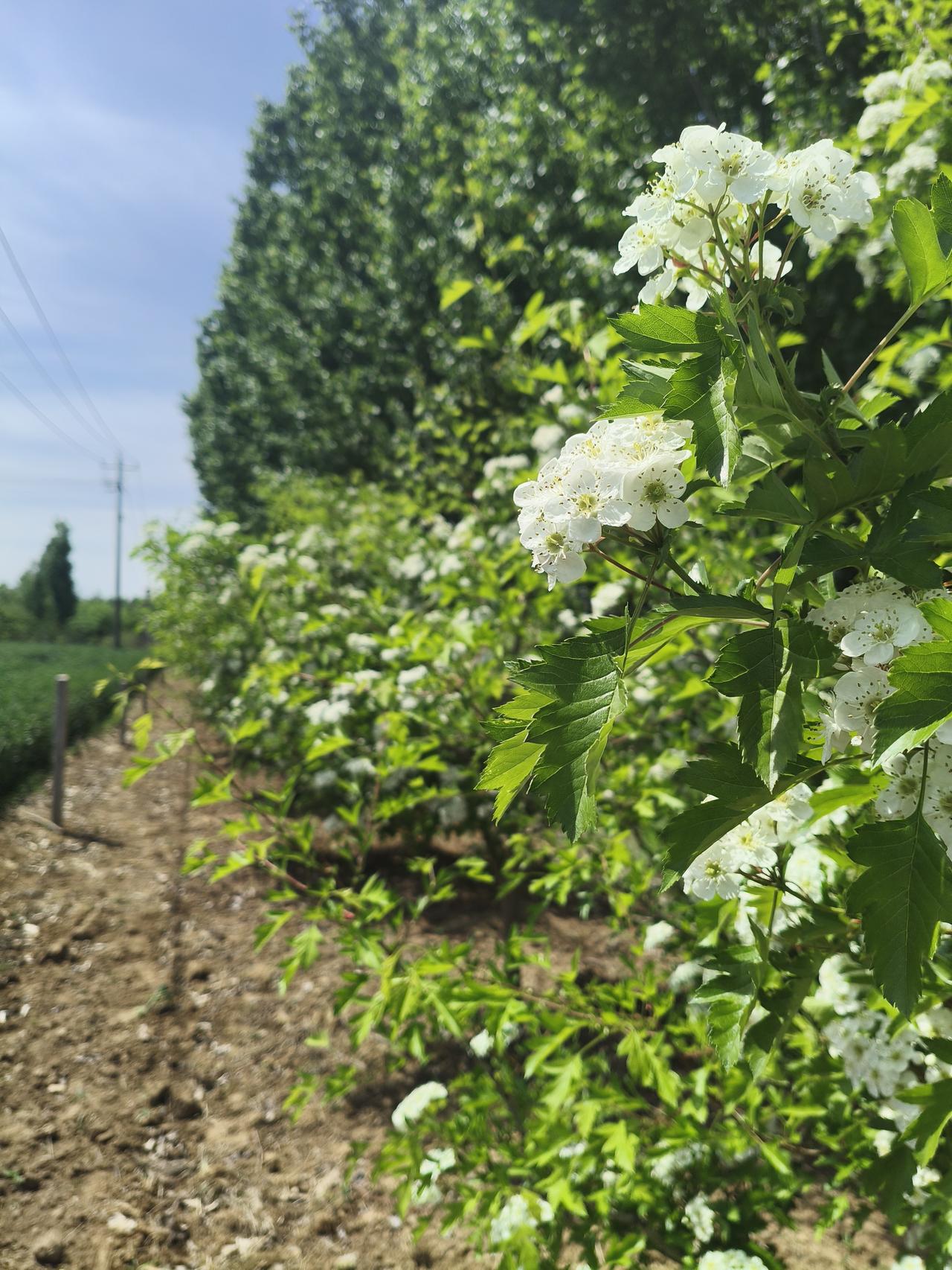 冬寒山色淡，
夏暖湖光浅。
头条首发