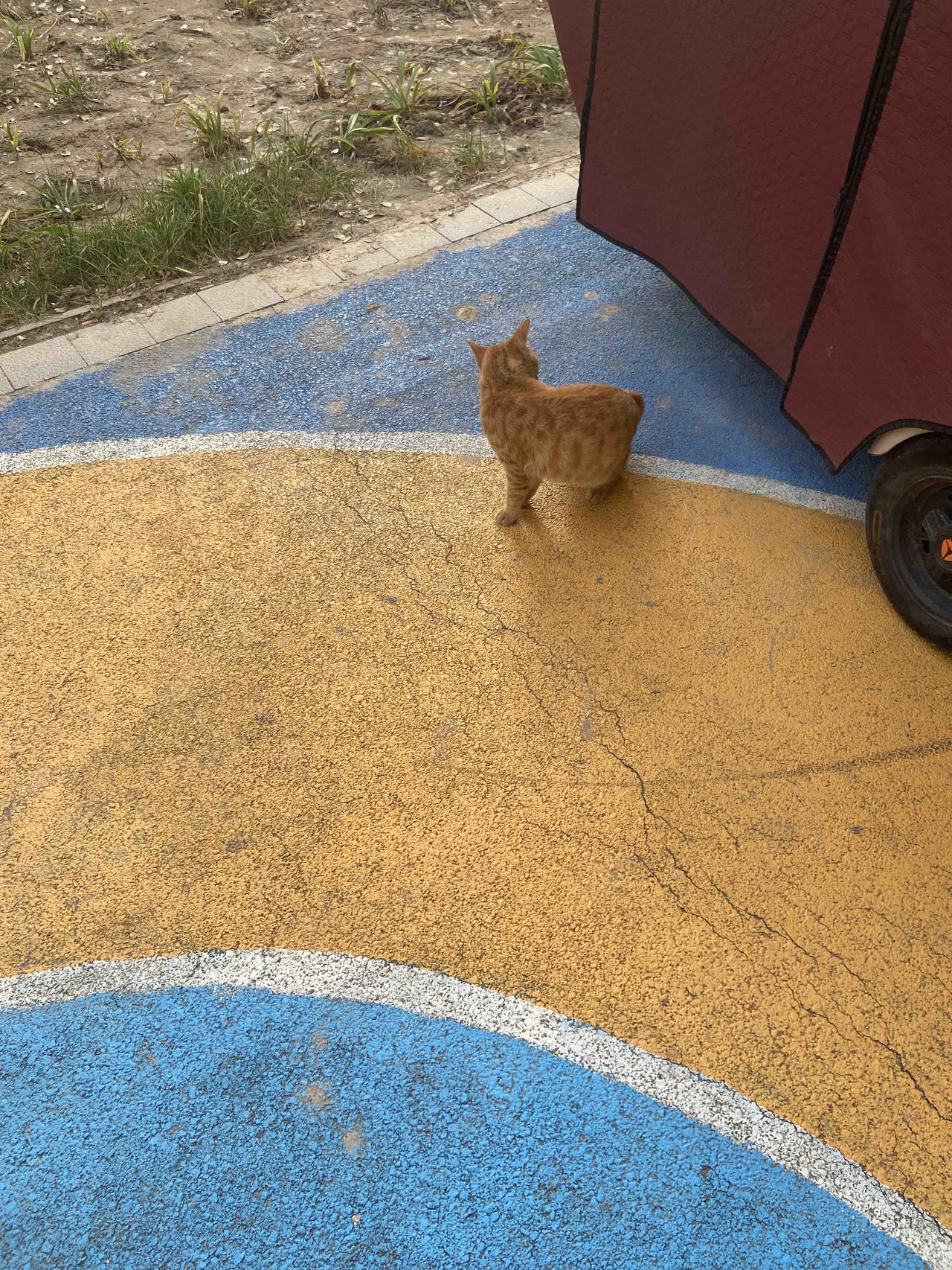 孩子有很多爱好值得从小培养。艺术类里绘画就很棒，我家孩子就喜欢画画，他能把梦境里