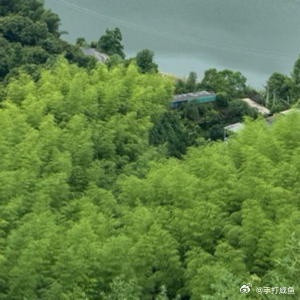 端午自驾游返图：华浪线太子尖⛰️住在山里面针不戳针不戳，借着美景削一削在城市里累