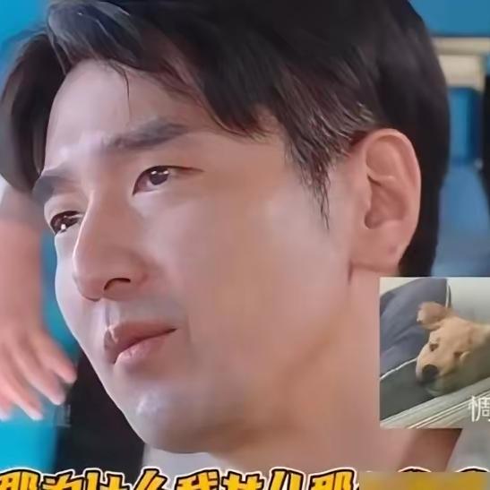 跟黄晓明闲聊自家女儿时，
赵又廷言语间满是遗憾，
一直念叨着希望孩子长相随高圆圆