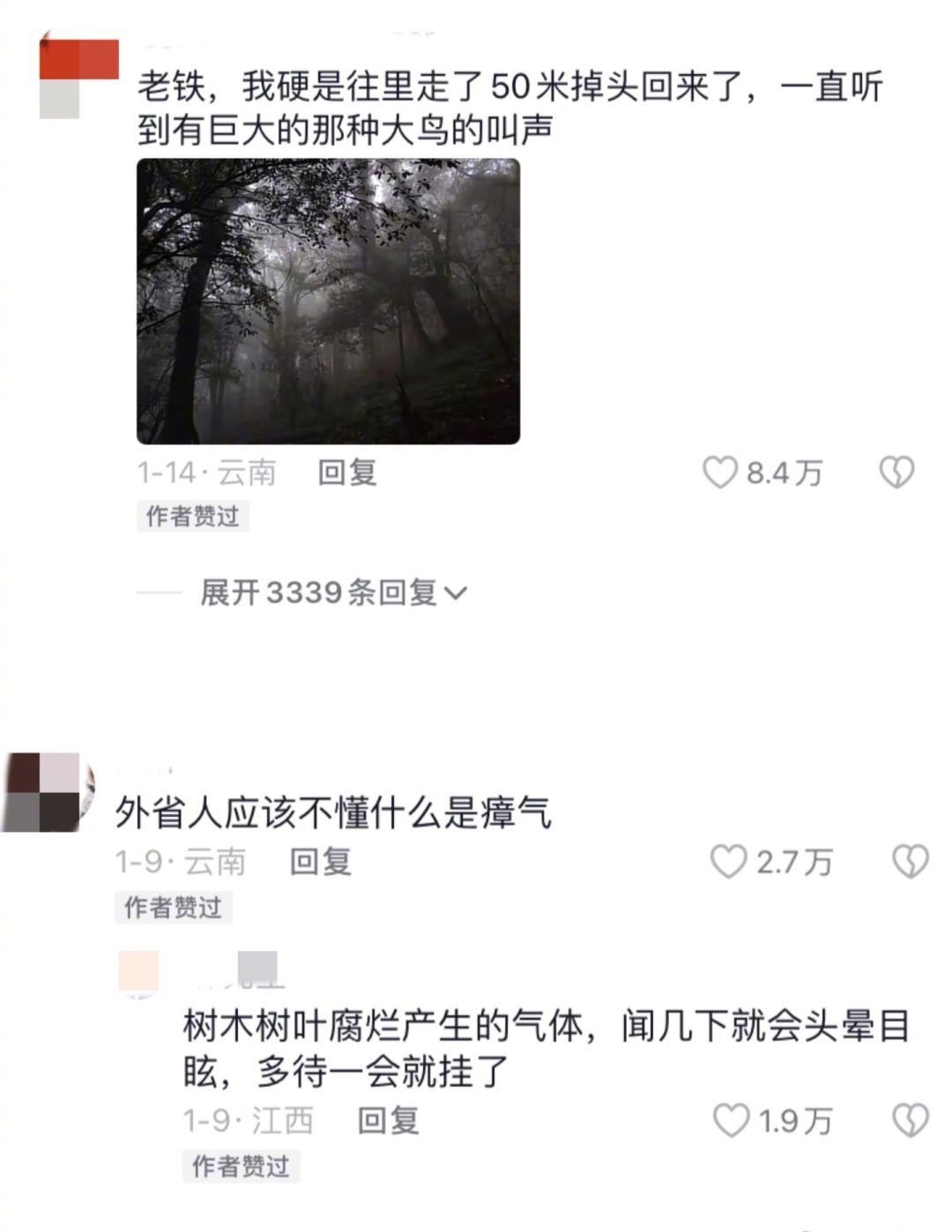 第一次听说哀牢山，看完评论对大自然充满了敬畏😱 ​ ​​​