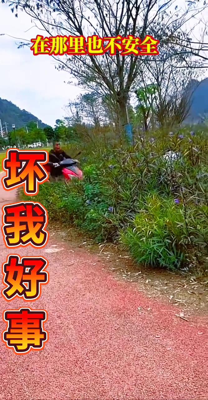 在那里也不安全，坏我好事。