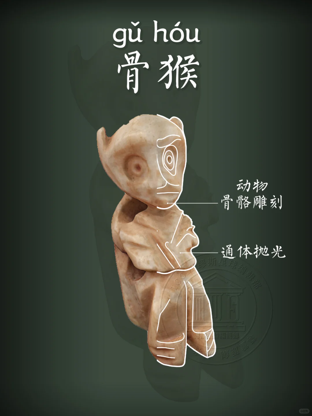 【夏·骨猴】小小的猴子也很可爱