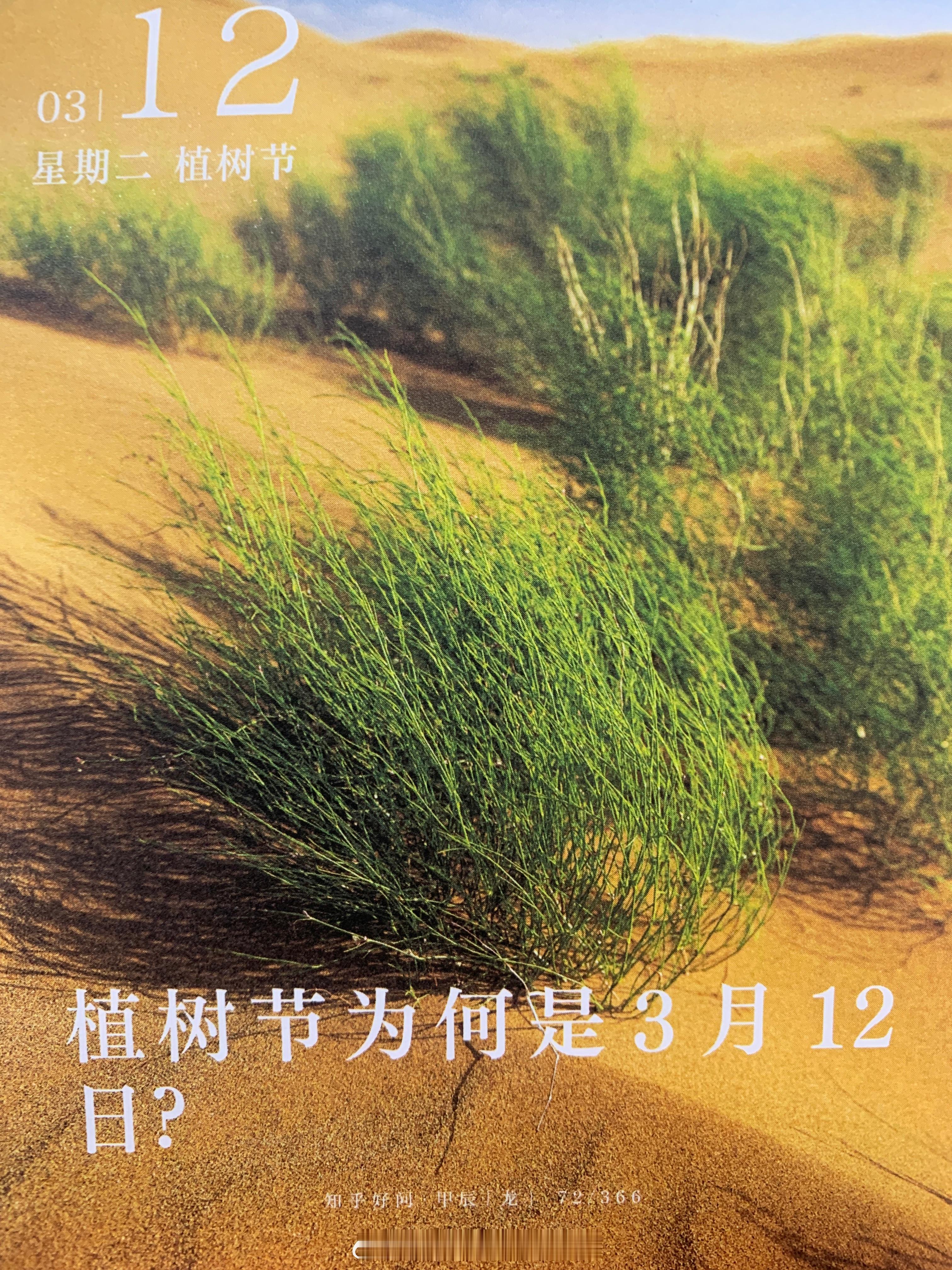 朋友们早，你知道植树节为何是3月12日吗？ ​​​
