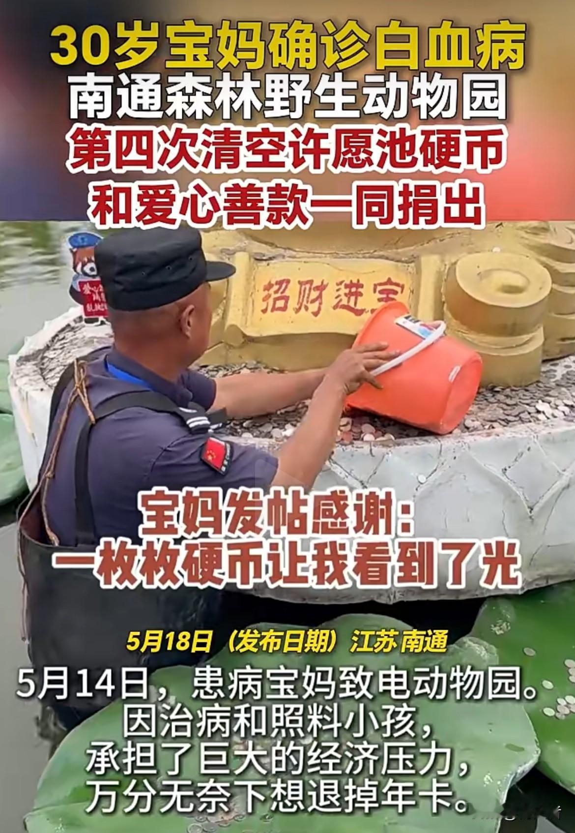 没想到动物园暖心十足，全额退款，第四次清空许愿池拿出4361.3元善款，江苏森迪