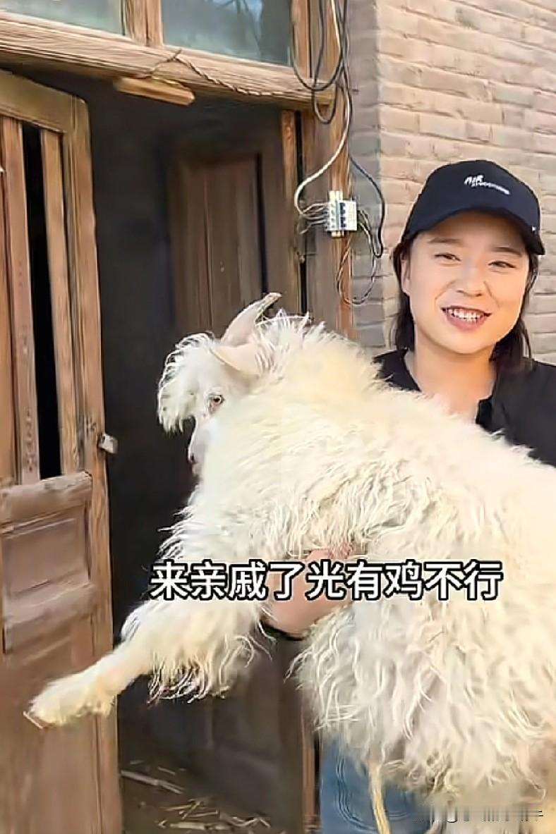 黑梅梅家是来了几个客人呀？抓了这么多鸡，还有羊！土鸡啊，眼馋[大笑]我喜欢黑梅梅