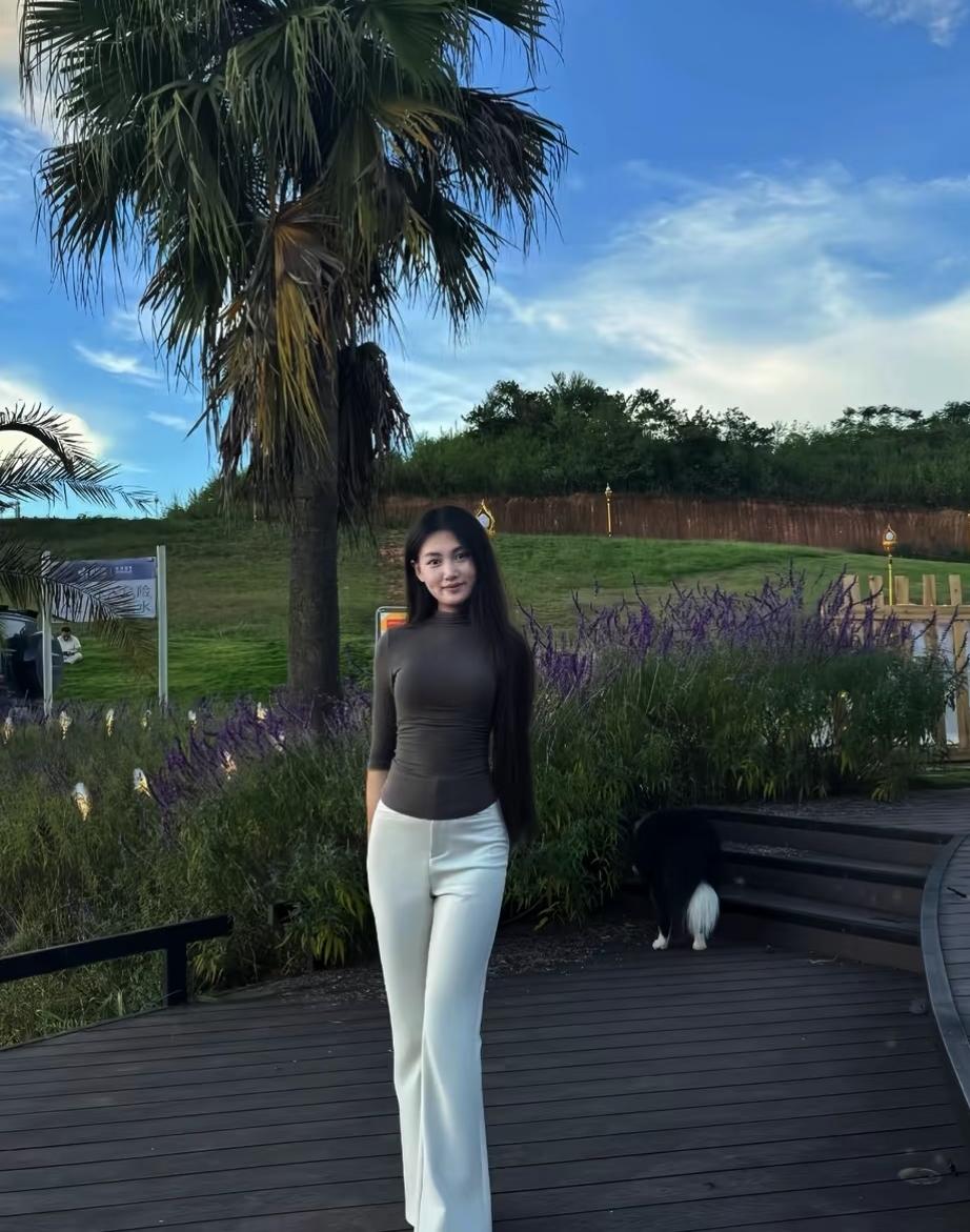 海边漫步，享受阳光与微风，与狗狗相伴的美好时光。