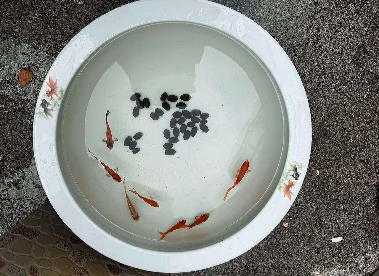 日子慢慢过，心就轻轻安