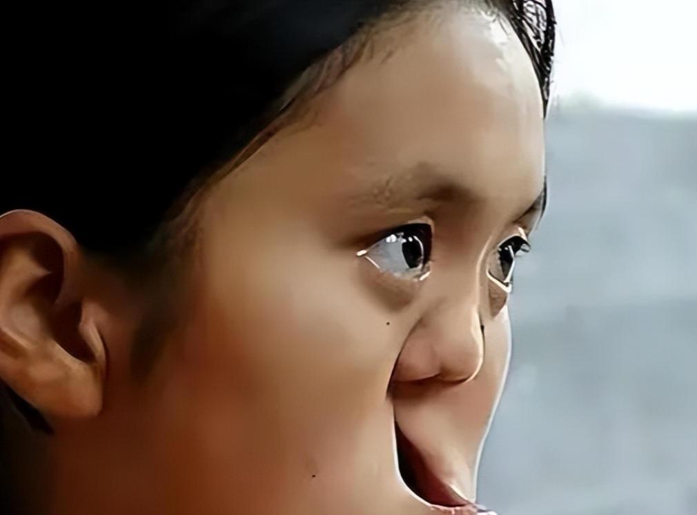 1990年，陕西一老农捡到一个没有嘴巴和鼻子的女婴，为了将其抚养长大，将自己的亲