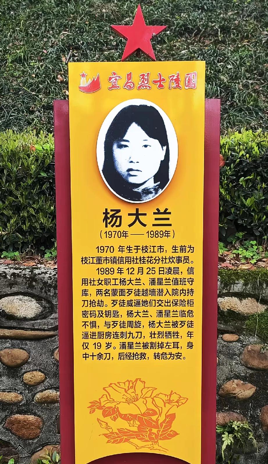 杨大兰
（1970年—1989年）
1970年生于枝江市，生前为枝江董市镇信用社