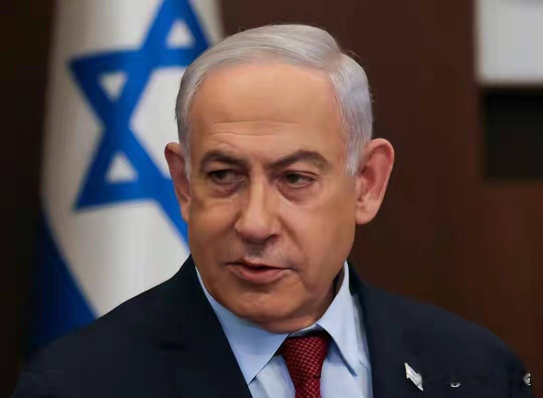 你无权代表国家！内塔尼亚胡：宁可缺席，也不让总统赫尔佐格签字