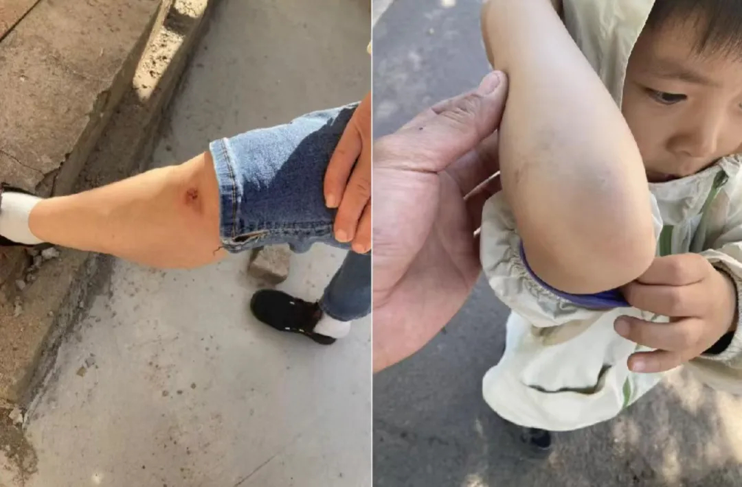 河南网友吐槽台铃新车一月内频繁锁死台铃新车频繁锁死致网友七八次摔车5月8日下午学