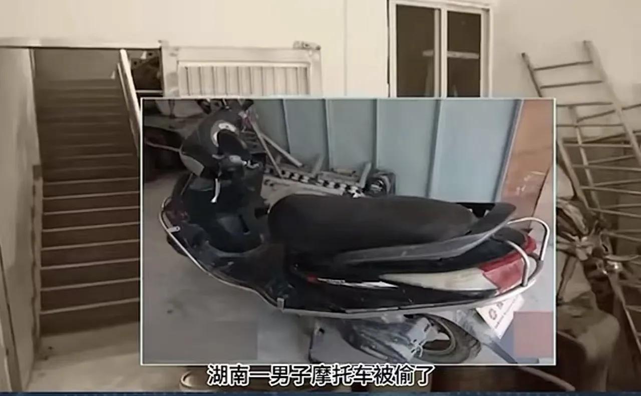 三观震碎！男子追偷车贼致其伤残，反被索赔35万，一审判决引全网愤怒
 
一句直击