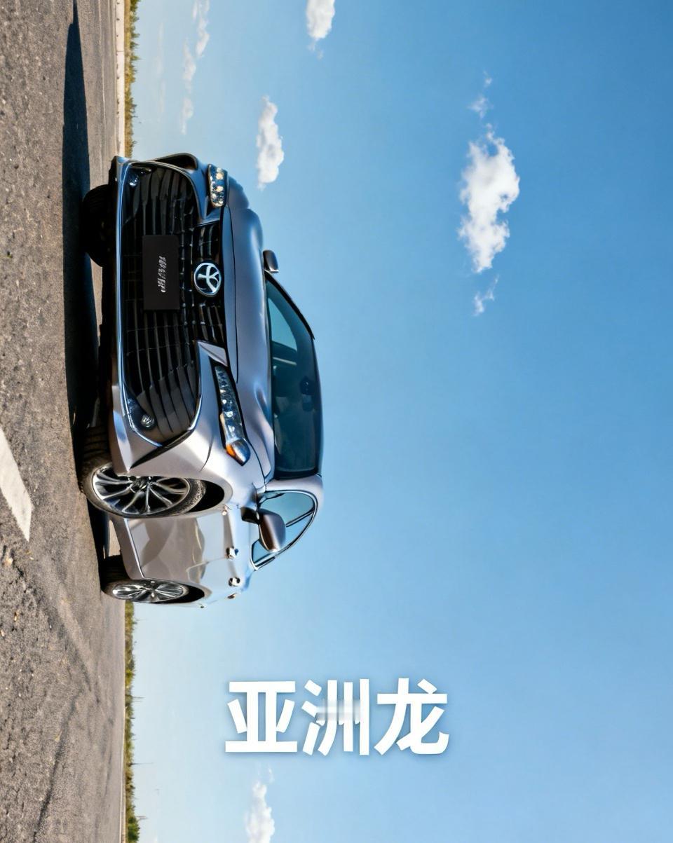 亚洲龙这台车现在销量也挺不错的，来说说他的优缺点吧
先说缺点
1，车漆比较薄，洗