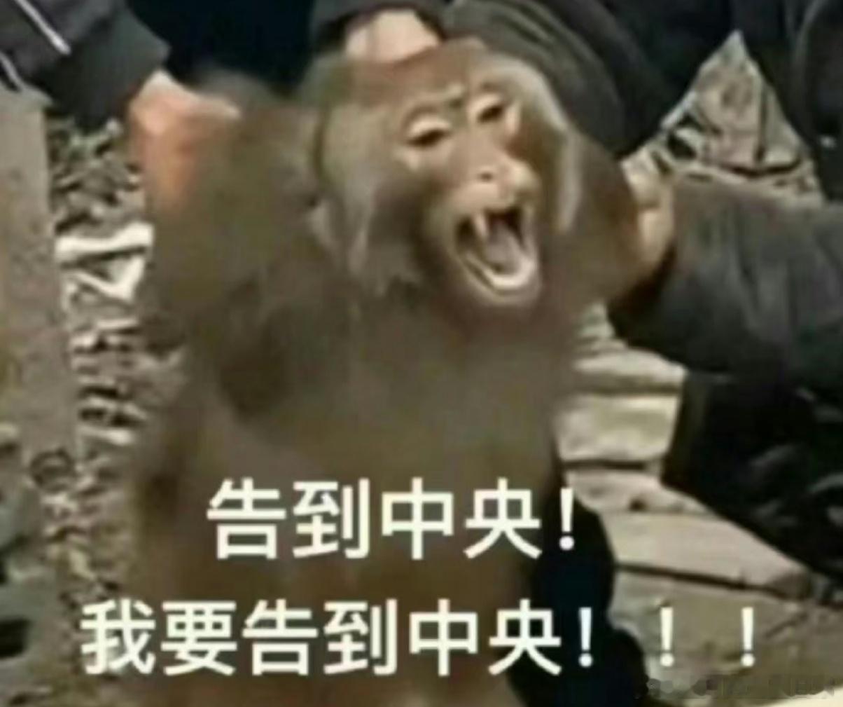 #张兰说大S出轨#你们两家谁都别说谁了好吧[允悲][允悲][允悲]戏有点多 ​​
