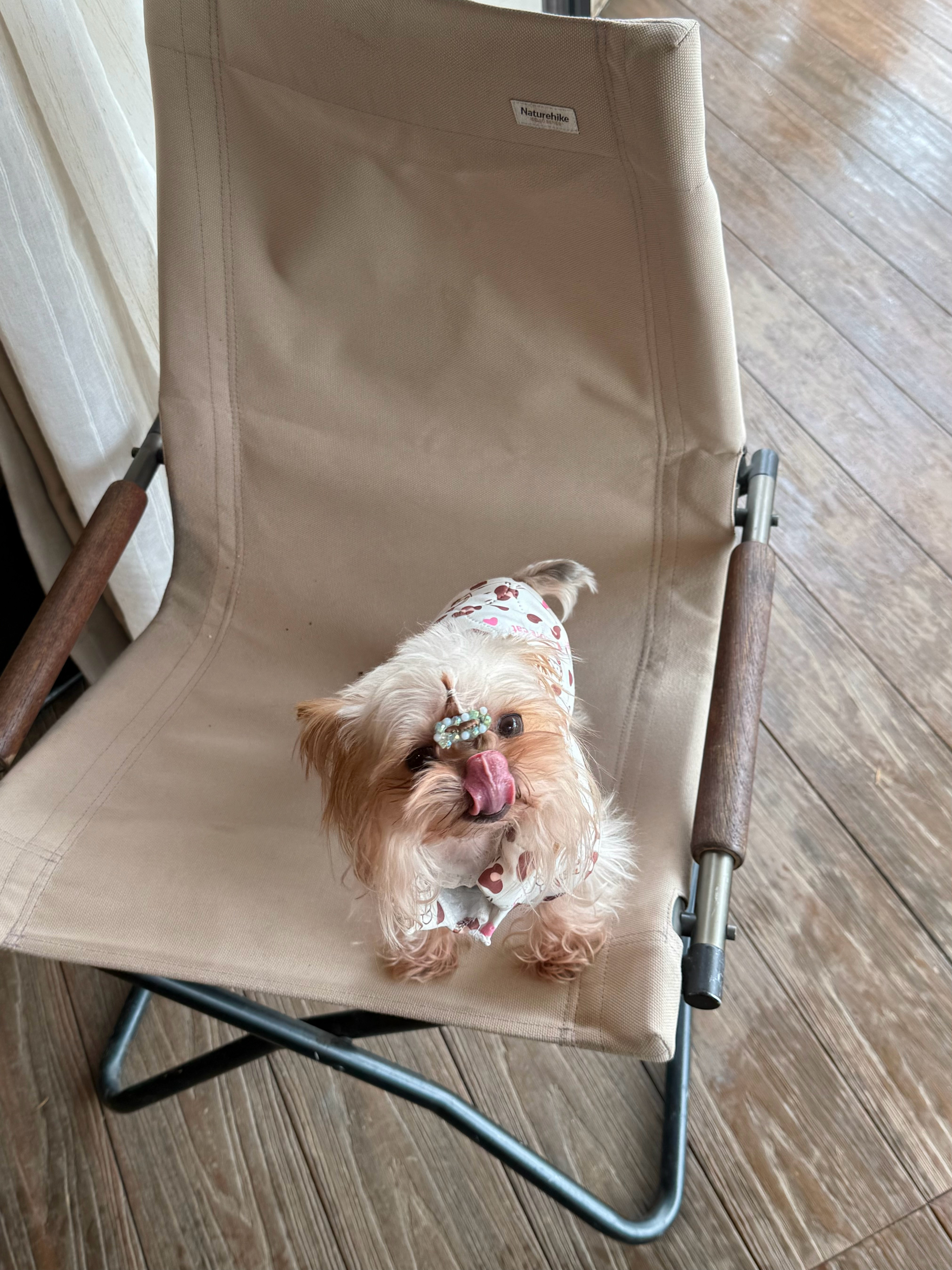 最近一些有的没的 ​​​