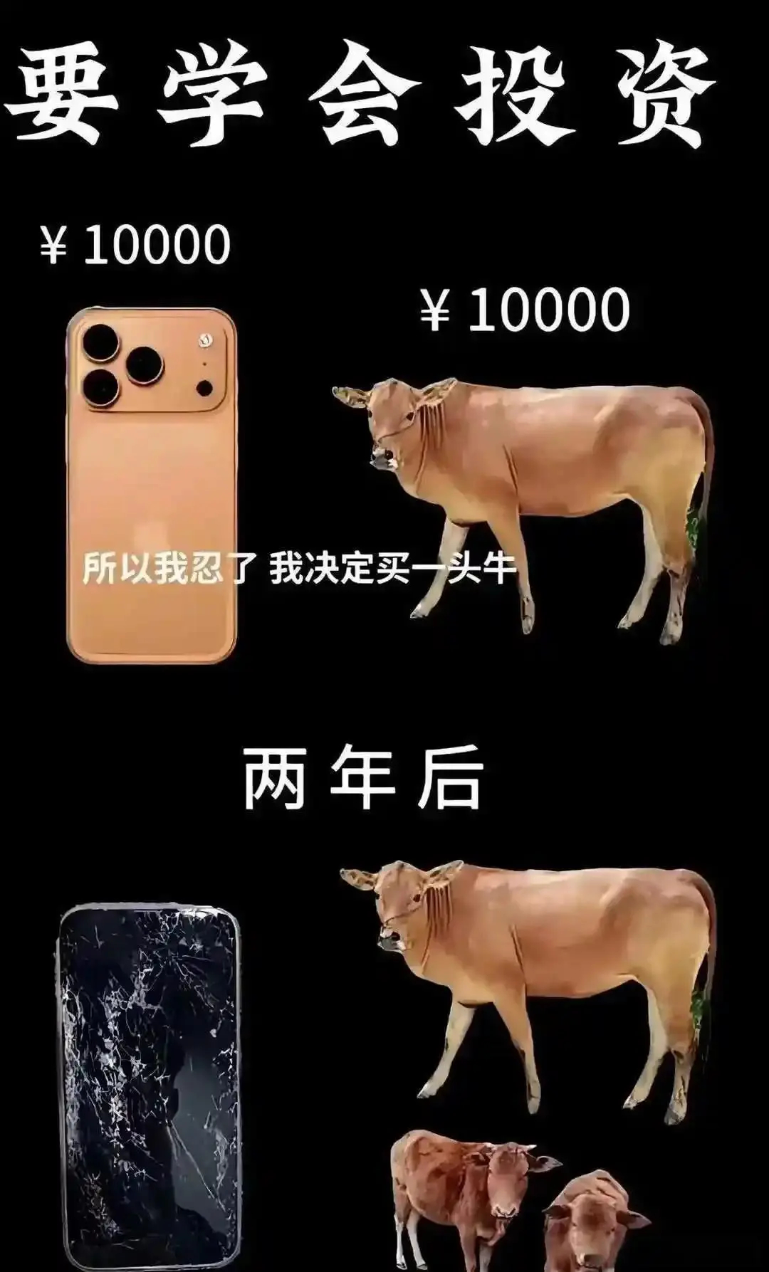 一张图看清什么是消费什么是投资春节前夕飞猪极光团搜索量暴涨