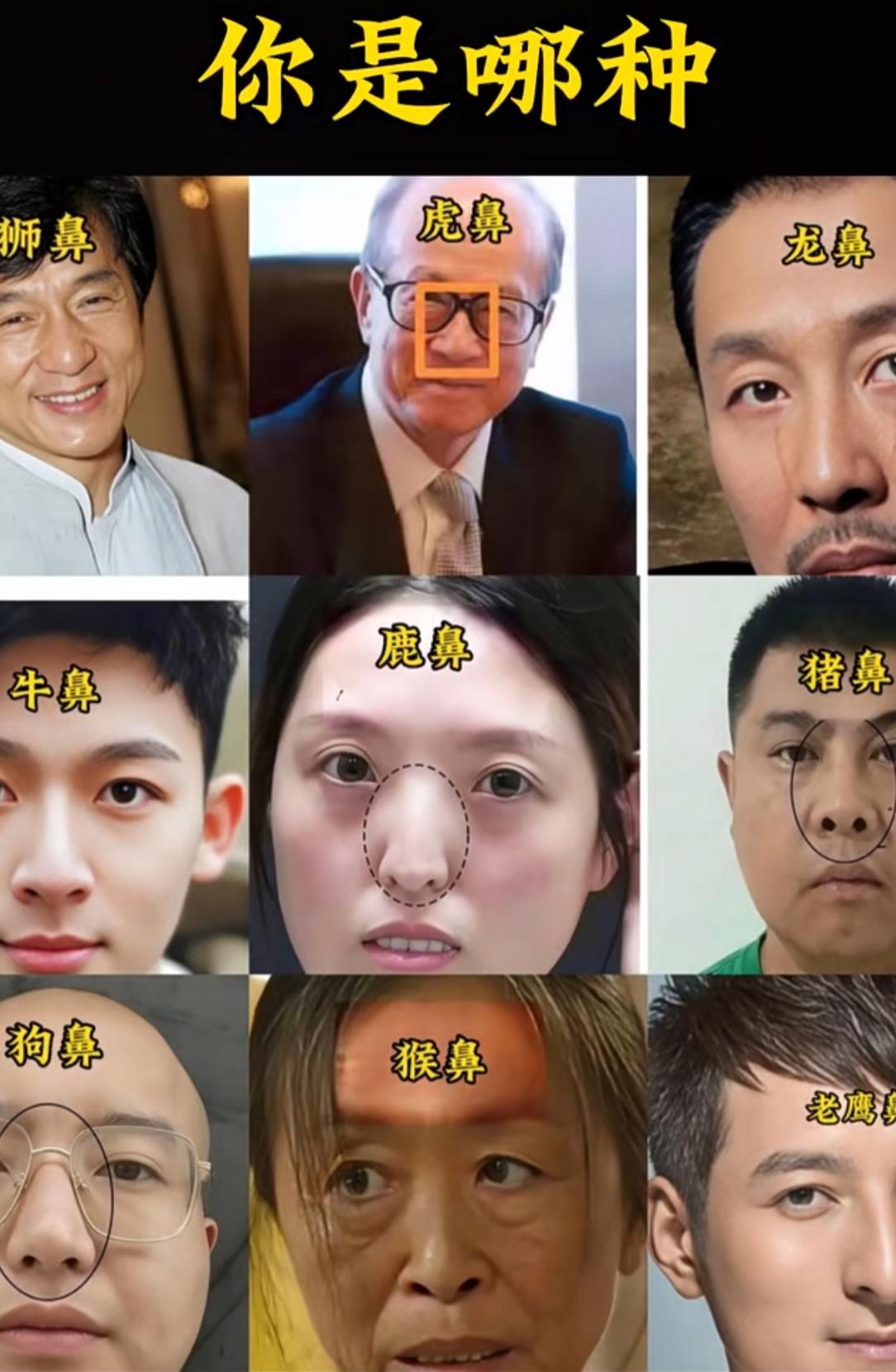 看看你是属于哪种鼻子？
