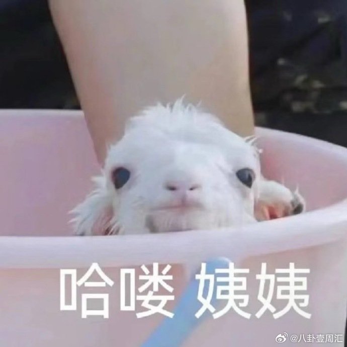 蒋敦豪生日快乐呀晴天春分限定浪漫，是给晴天的生日祝福，生日快乐呀种地吧