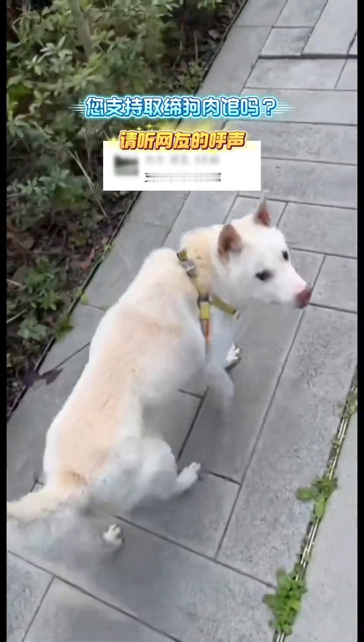您支持取缔狗肉馆吗？请听网友的呼声。
支持取缔狗肉馆。