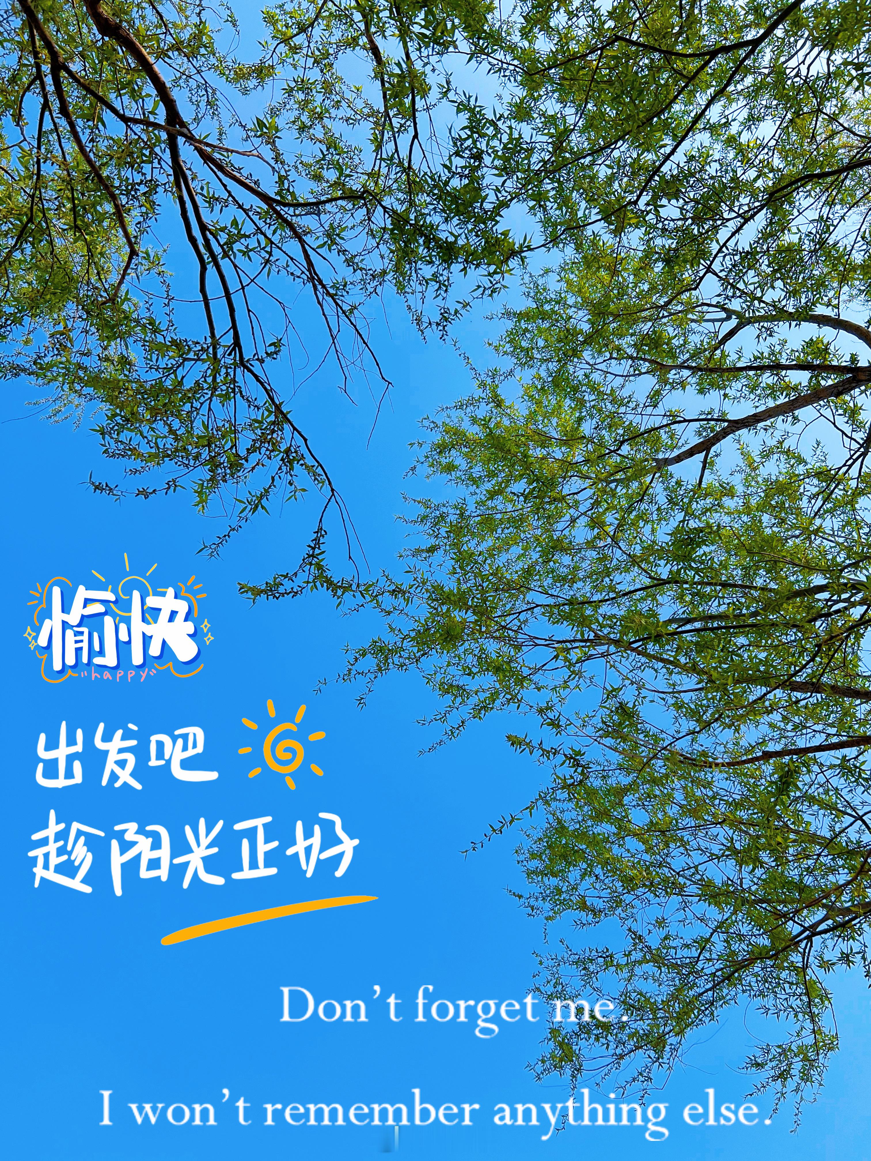 #夏日歌单的正确打开方式#热爱生活的人，一定会被生活所热爱[羞嗒嗒][给力]俗话