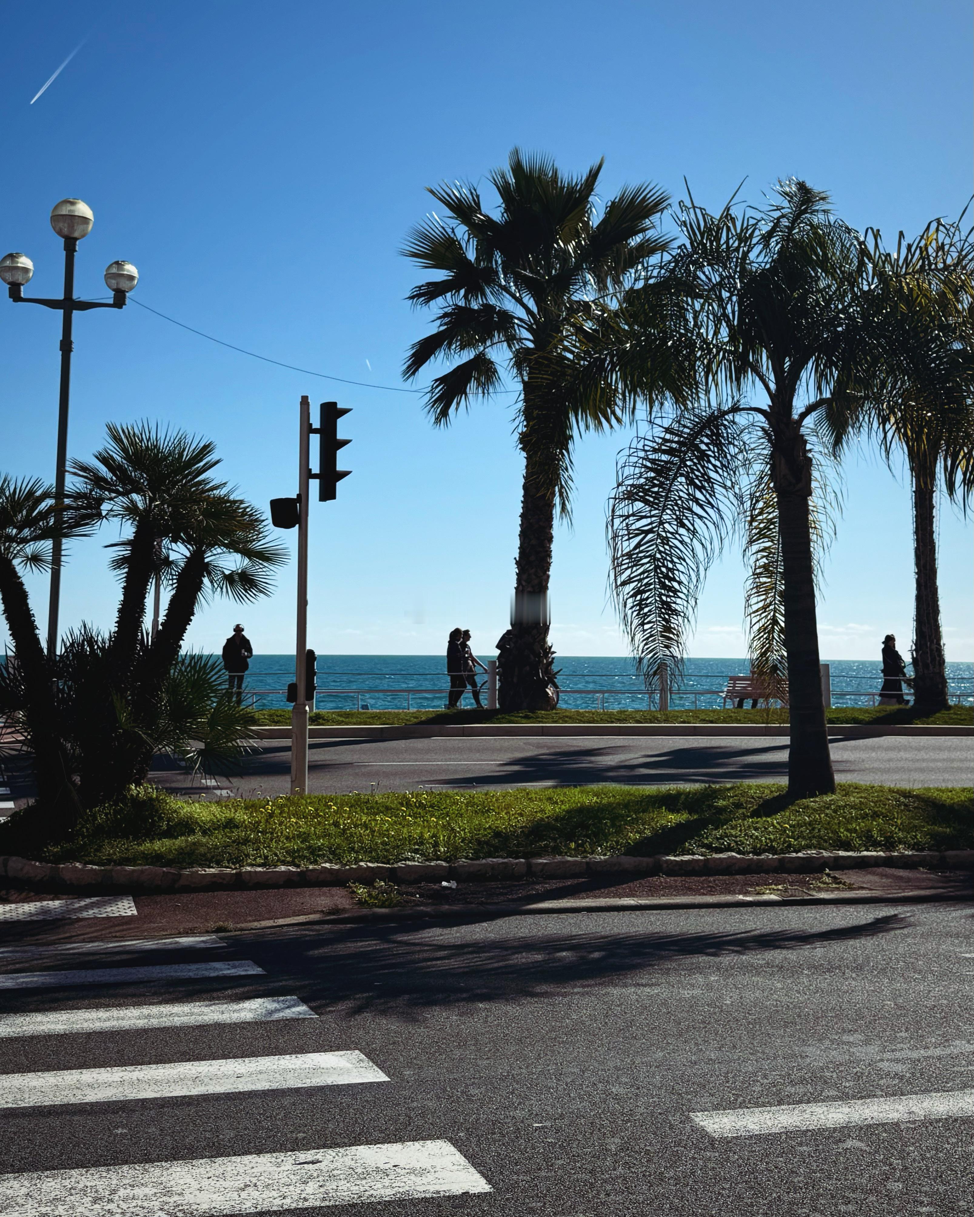 關於南法｜NICE 🇫🇷  ​​​