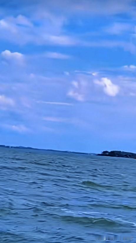 [彩虹]晴空万里，碧海蓝天。
成群的海鸥迎着海风盘旋飞翔，古色塔楼静静伫立远处。