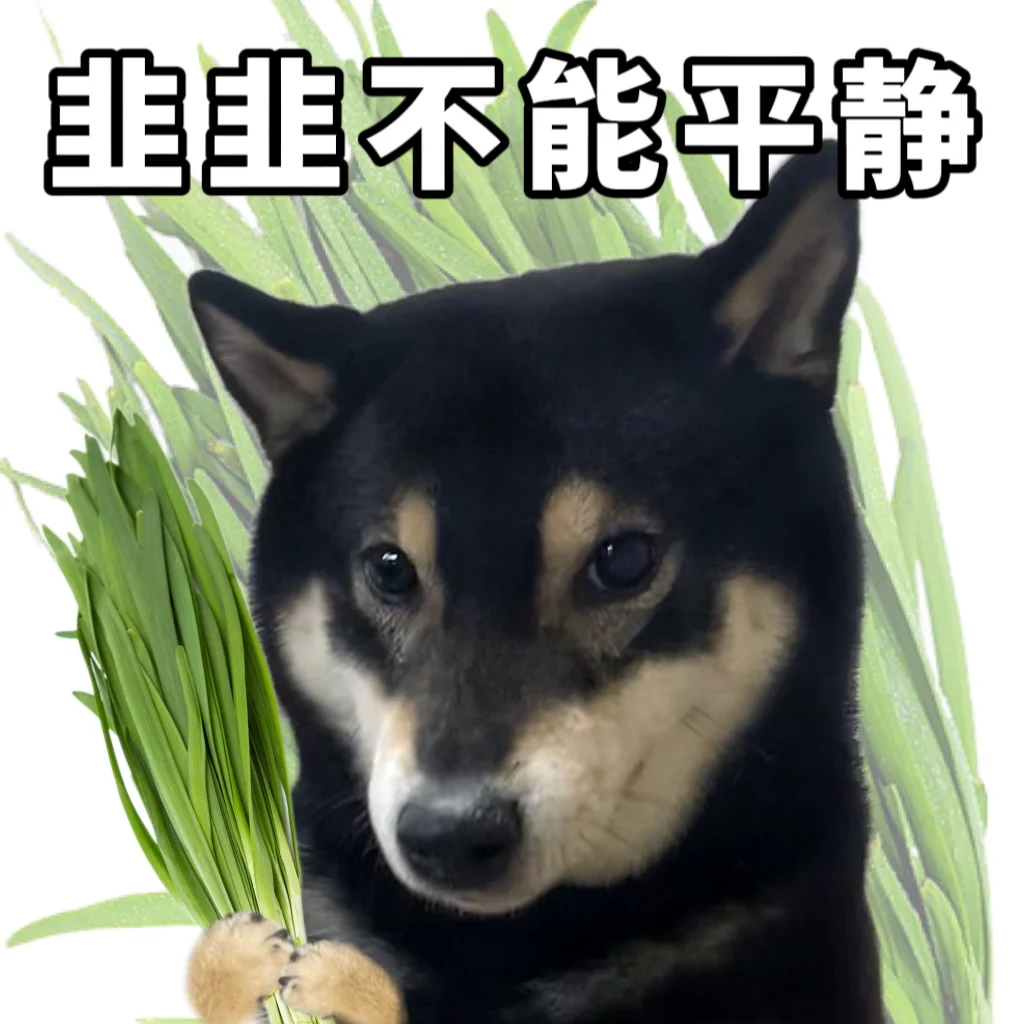 抽象表情包大赏|钥匙翘翘了🥲