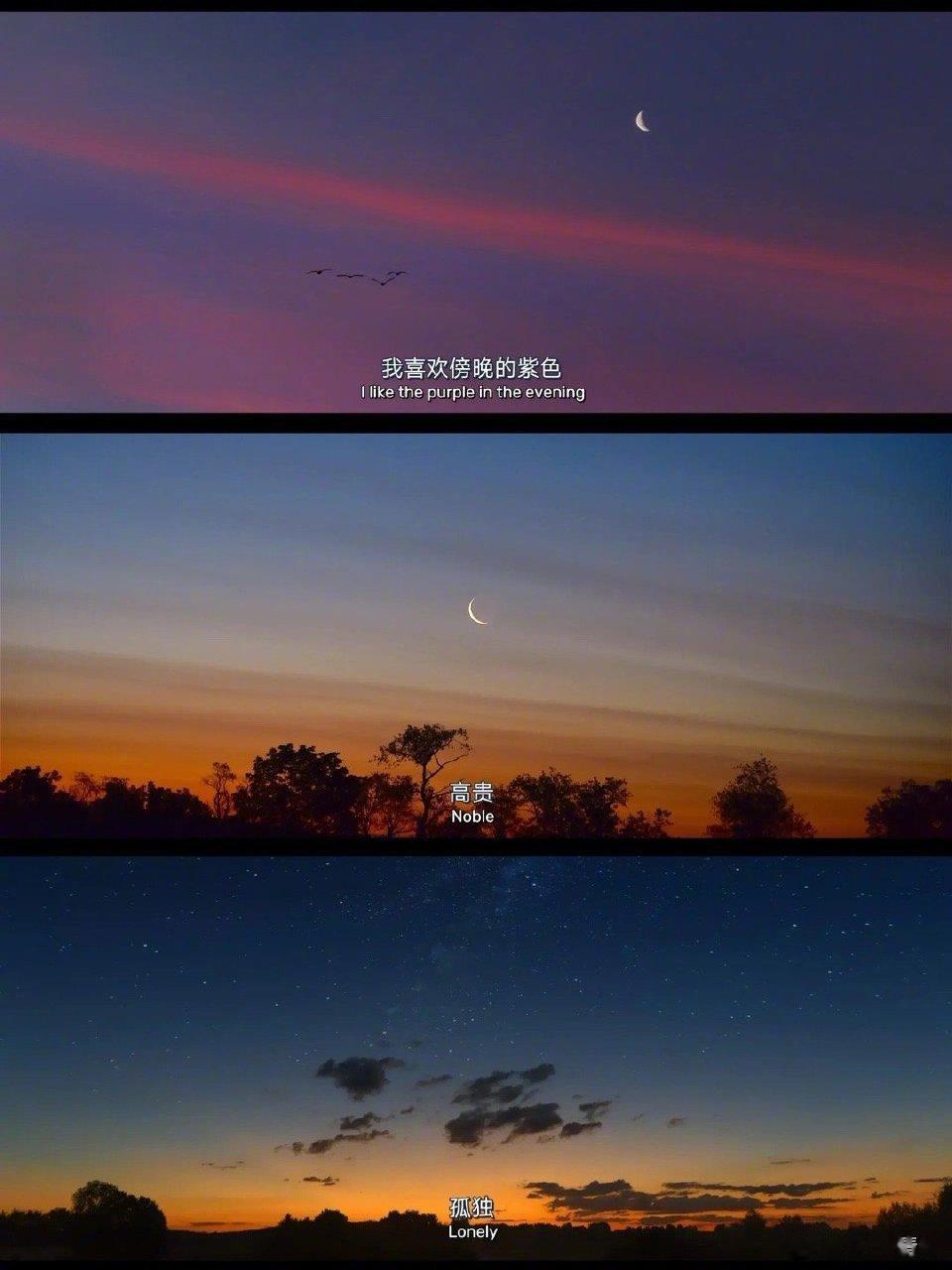 “不必多言 每个人都有自己的南墙要撞 能把道理都想通的人 哪一个不是粉身碎骨” 