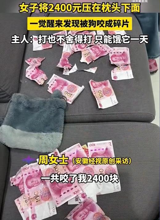 “太心疼了！”江西一女子将2400元现金藏枕头下，一觉醒来竟见满地碎钞。罪魁祸首