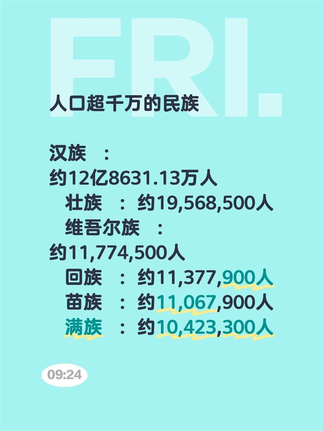 人口超千万的民族  汉族： 约12亿8631.13万人 壮族：约19...