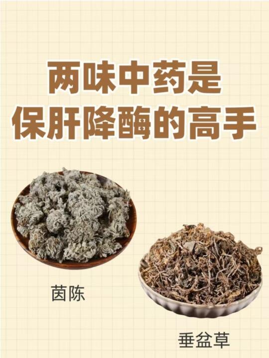 2味中药是保肝降酶的“高手”