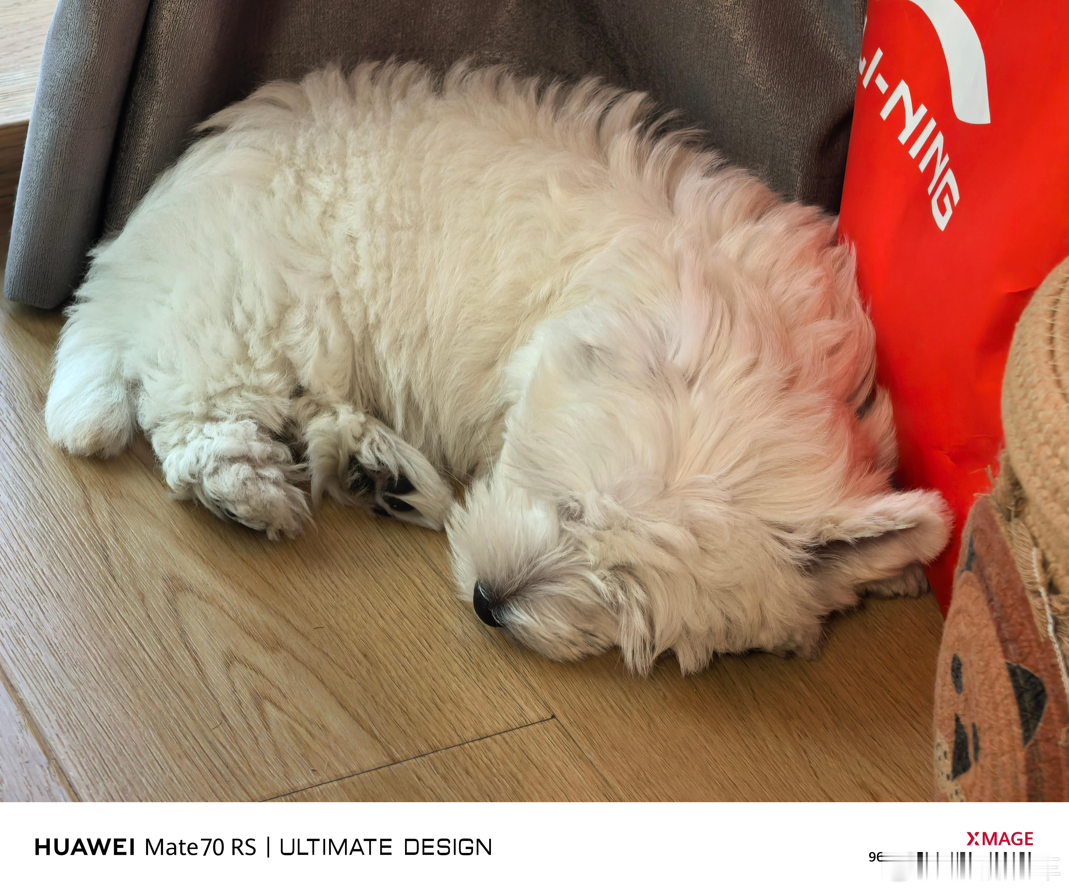 睡了睡了，6 点起床 ​​​