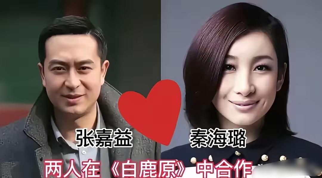张嘉益和秦海璐搭档过
张嘉益和宋佳搭档过
张嘉益和闫妮搭档过
和张嘉益搭档的这三