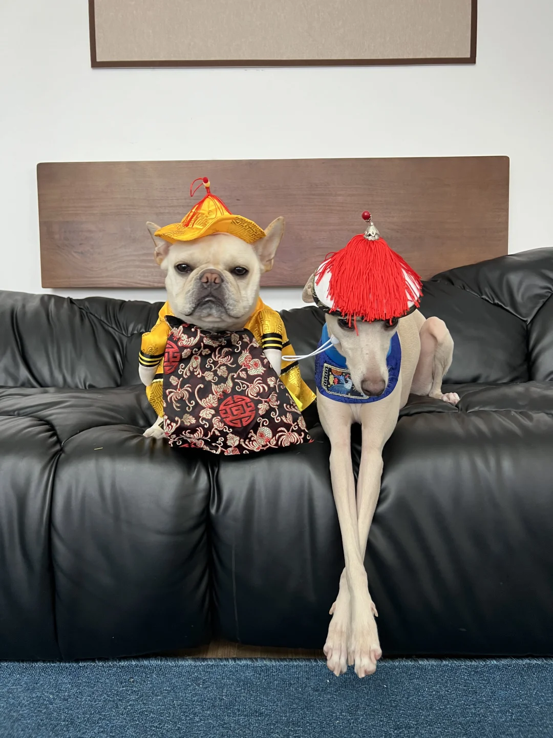 没头脑和不开心🐶