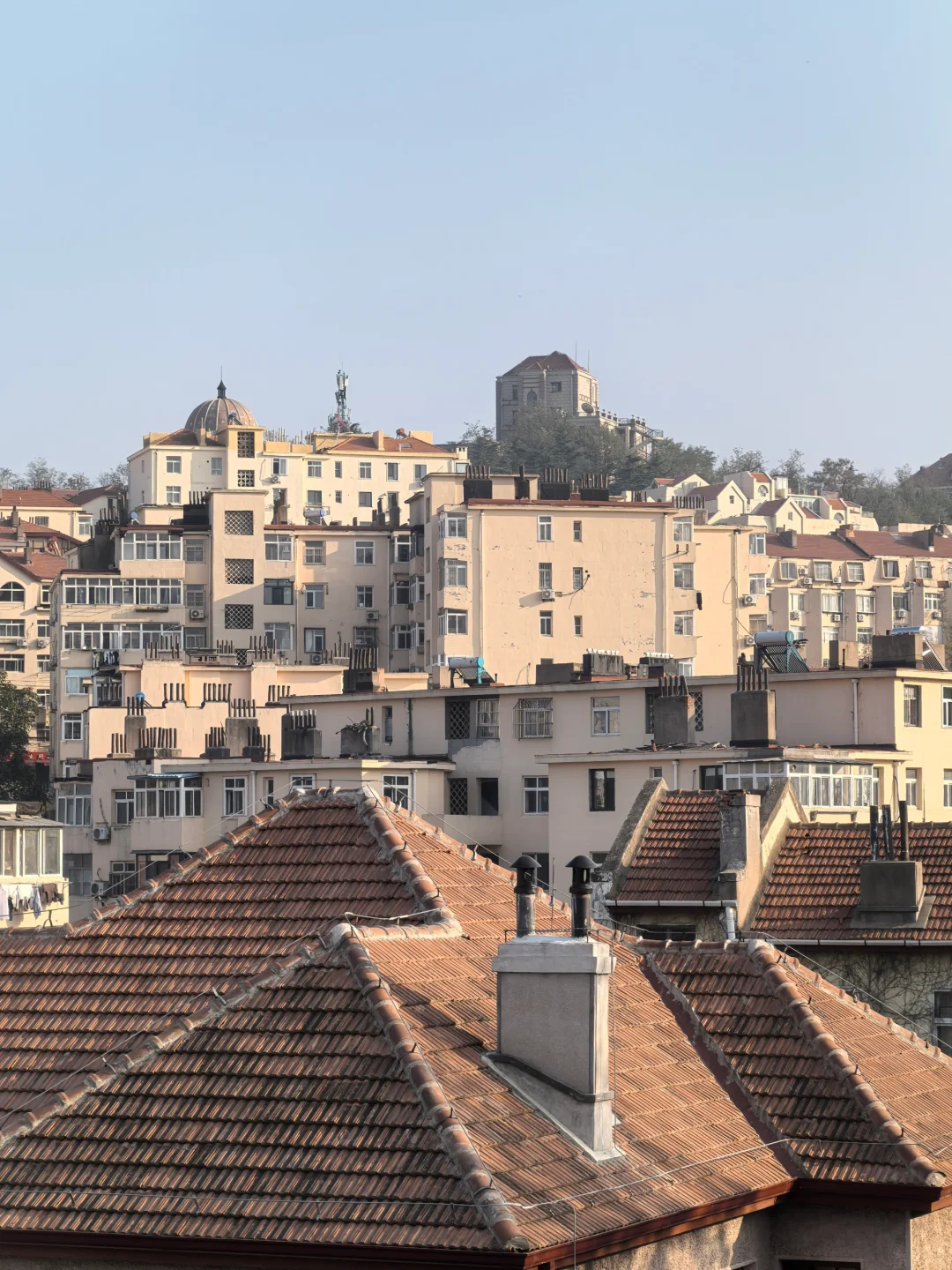 11.2青岛街头实况 今天有20多度好热。