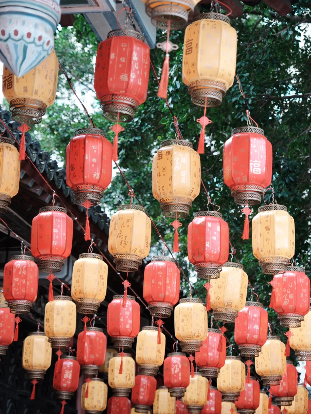夏季如期盛开｜深圳这个古风建筑拍照超出片