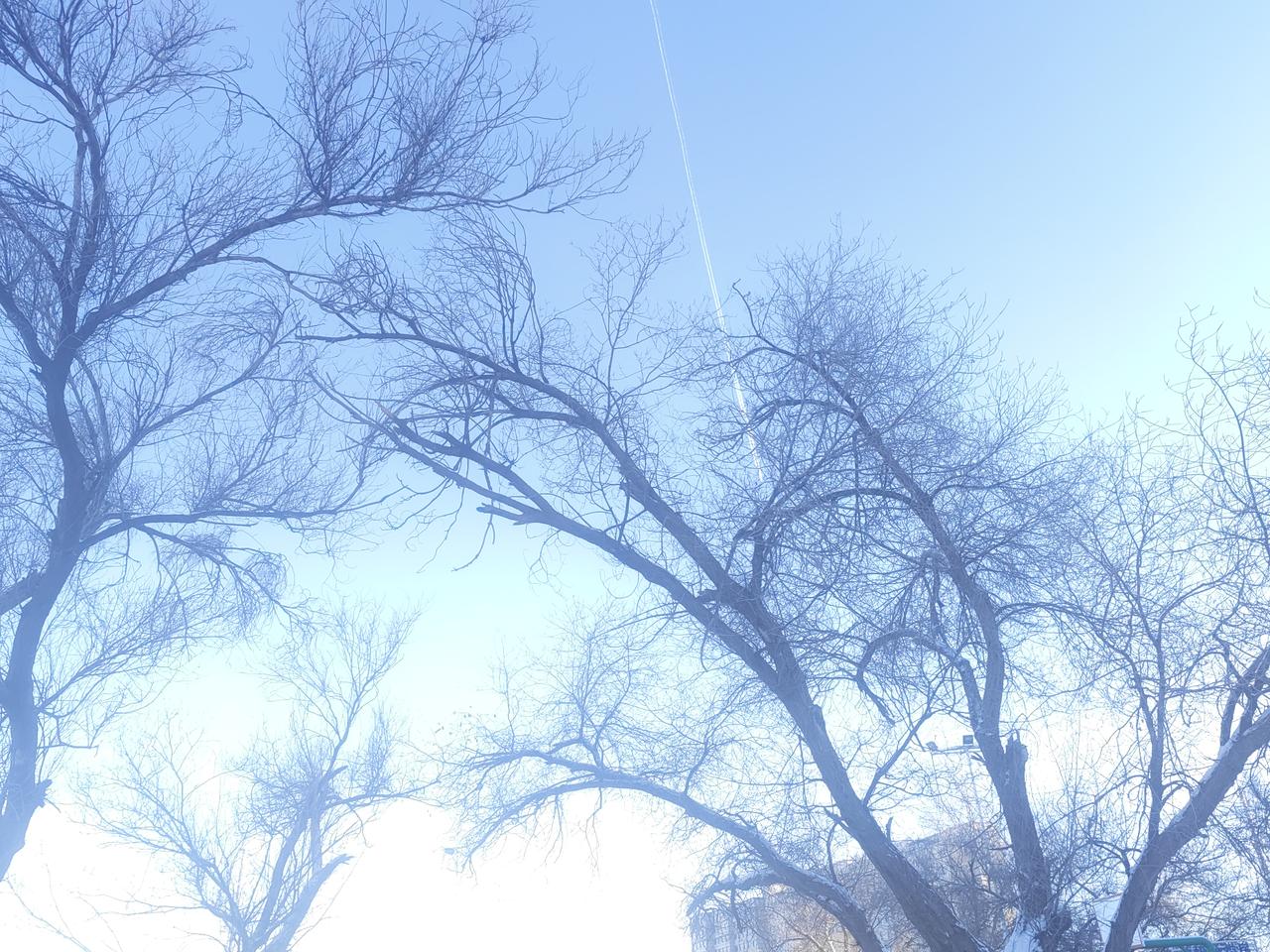 乌鲁木齐昨天下午又下雪了，当时下得还很大。

尽管是在周末，职能部门仍快速行动起