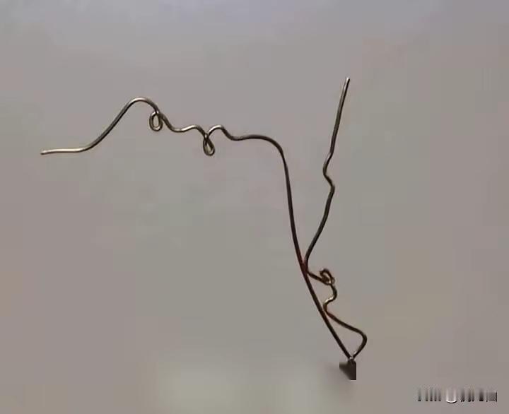 再说一遍，
这是一根不正经的铁丝。[捂脸]