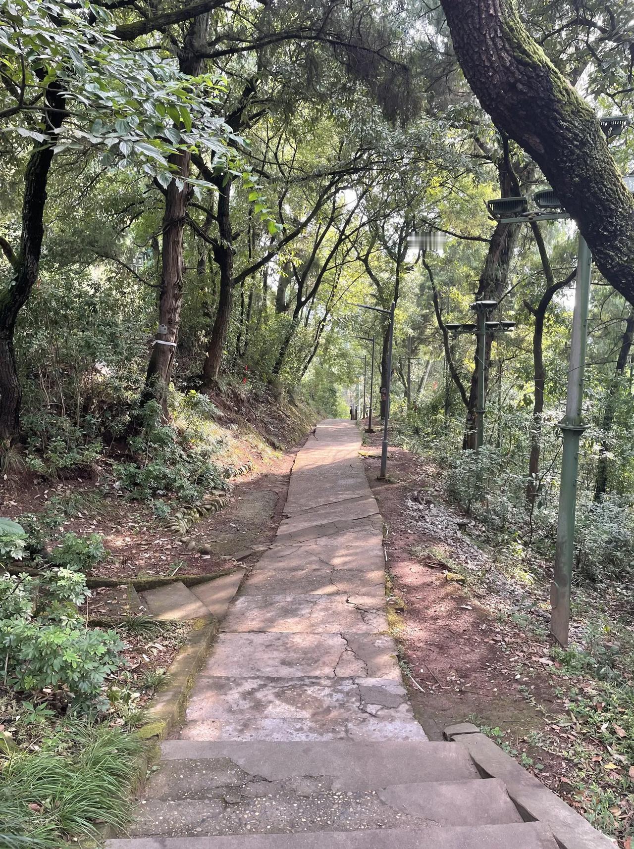 无人问津
       ——南木子
遂宁城东有灵泉，
观音古寺隋始建。
一条幽径
