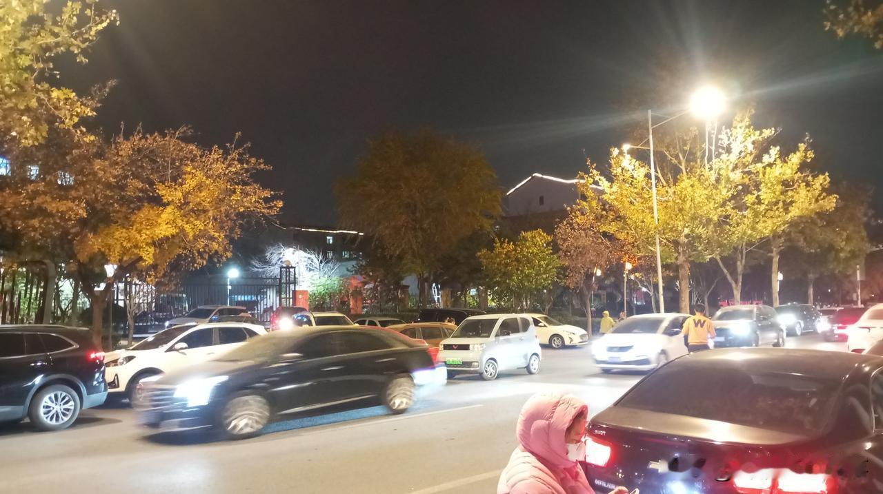 “赶紧走！赶紧走！不准在这里掉头，往前开，别停留！”

昨晚上在孩子学校门口执勤