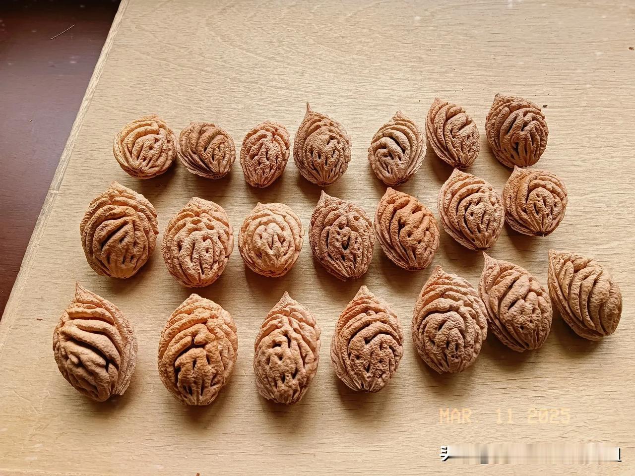 去年夏天吃的五月桃留下的桃核，个头匀称纹路漂亮。就是下一步不知道该怎么样盘它怎样