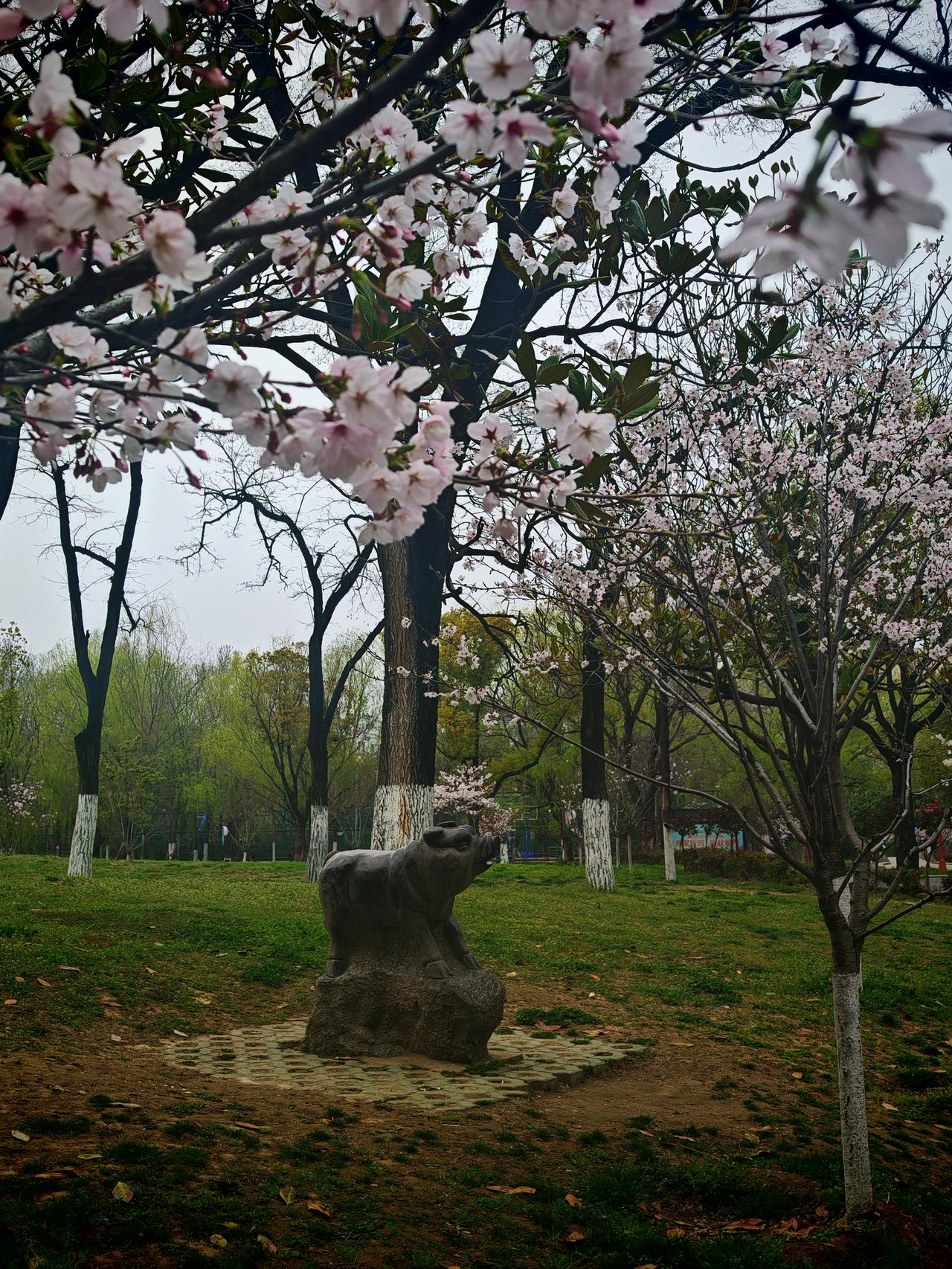 “美好时光，莫失莫忘，仙寿恒昌。不离不弃，芳龄永继。”这两句话就像时光里的珍宝。